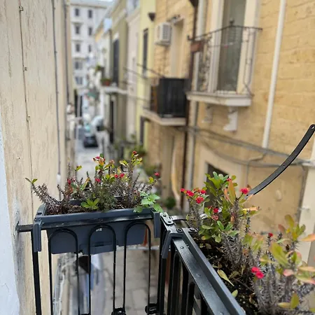 Carlo's Πανσιόν